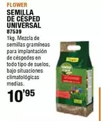 Oferta de Flower - Semillas De Cesped Universal por 10,95€ en ferrOkey