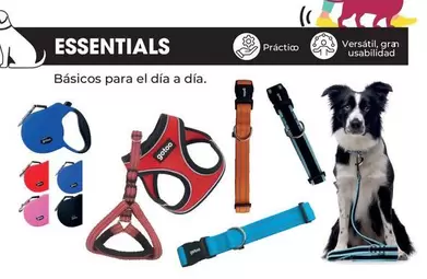 Oferta de Básicos Para El Día A Día en Tiendanimal