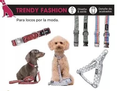 Oferta de Trendy Fashion : Para Locos Por La Moda en Tiendanimal