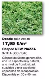 Oferta de Césped New Piazza por 17,95€ en Grup Gamma