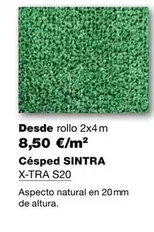 Oferta de Césped SINTRA por 8,5€ en Grup Gamma