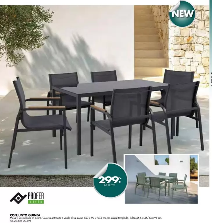Oferta de Conjunto Guinea por 299€ en Coferdroza