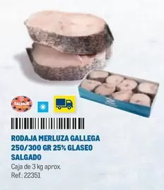 Oferta de Salvaje - Rodaja Merluza Gallega 250/300 Gr 25% Glaseo Salgado en Makro
