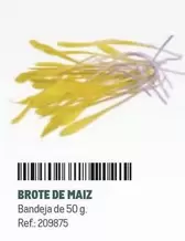 Oferta de Brote De Maiz en Makro