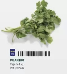 Oferta de Chef select - Cilantro en Makro
