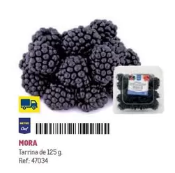 Oferta de Chef - Mora en Makro