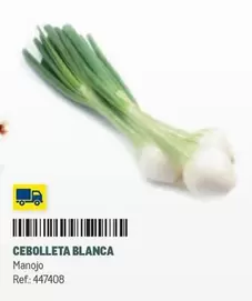 Oferta de Cebolleta Blanca en Makro