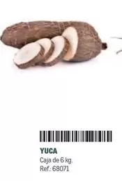 Oferta de Yuca en Makro