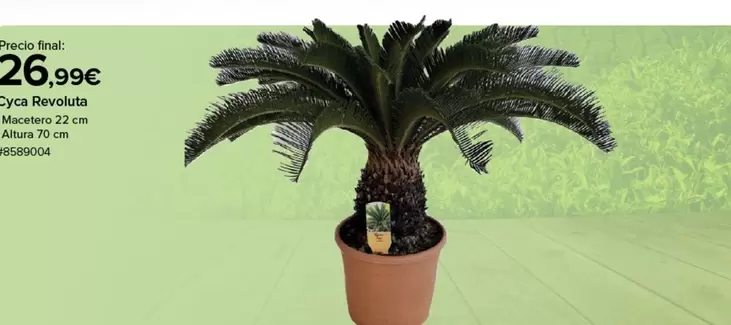 Oferta de Jays Revoluta por 26,99€ en Costco