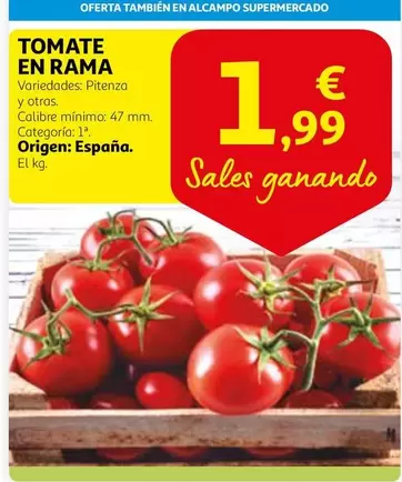 Oferta de Alcampo - Tomate En Rama por 1,99€ en Alcampo