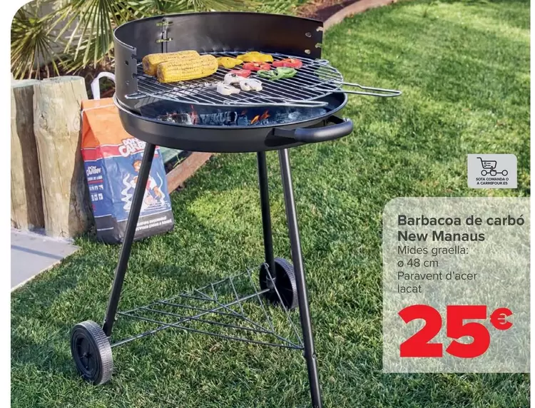 Oferta de Barbacoa Carbon New Manaus por 25€ en Carrefour