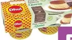 Oferta de Dhul - En Flanes Pack 4 Unidades en Carrefour