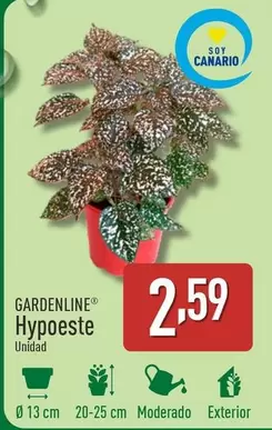 Oferta de Gardenline - Hypoeste por 2,59€ en ALDI