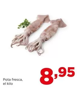 Oferta de Pota Fresca por 8,95€ en Alimerka