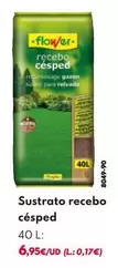 Oferta de Flower - Sustrato Recebo Cesped por 6,95€ en BricoCentro