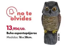 Oferta de Buho Espantapajaros por 13,95€ en BricoCentro