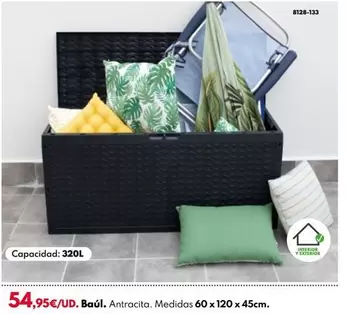 Oferta de Baul por 54,95€ en BricoCentro