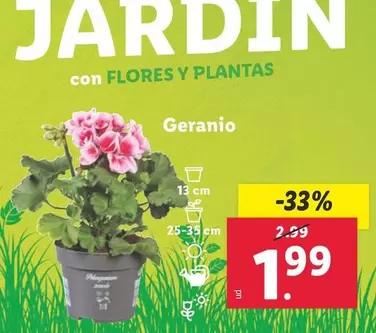Oferta de Garanio por 1,99€ en Lidl
