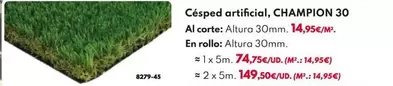 Oferta de Césped Artificial, Champion 30 por 14,95€ en BricoCentro