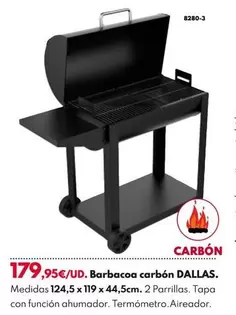 Oferta de Barbacoa Carbón Dallas por 179,95€ en BricoCentro