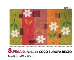 Oferta de Felpudo Coco Europa Recto por 8,95€ en BricoCentro
