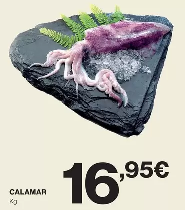 Oferta de Calamar por 16,95€ en El Corte Inglés