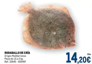 Oferta de Origen - Rodaballo De Cria por 14,2€ en Makro