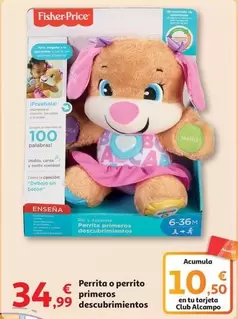 Oferta de Fisher Price - Perrita O Perrito Primeros Descubrimientos por 34,99€ en Alcampo