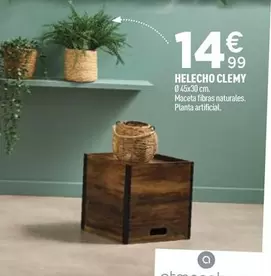 Oferta de Helecho Clemy  por 14,99€ en Rocasa