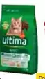 Oferta de Ultima - Alimento Seco Para Gatos No Esterilizados en Carrefour