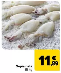 Oferta de Sepia Limpia por 11,89€ en Carrefour