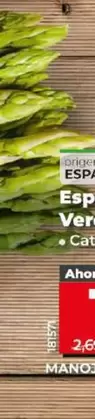Oferta de Espárrago Verde Fino  por 1,99€ en Dia