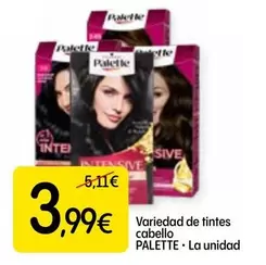 Oferta de Palette - Variedad De Tintes Cabello por 3,99€ en Dialprix