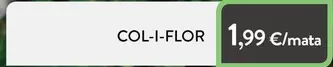 Oferta de Col-i-flor por 1,99€ en Plusfresc