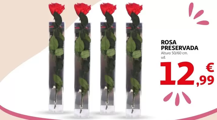 Oferta de Rosa Preservada por 12,99€ en Alcampo