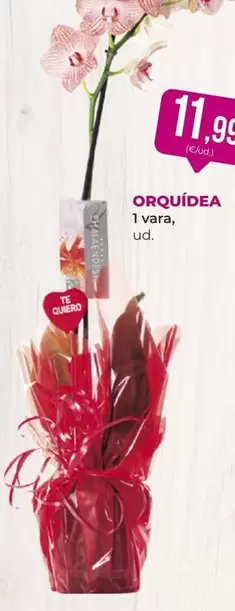 Oferta de 1 Vara por 11,99€ en SPAR Gran Canaria