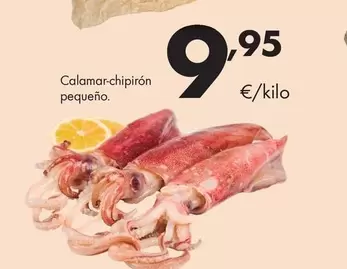 Oferta de Calamar-Chipiron Pequeno por 9,95€ en Supermercados Lupa