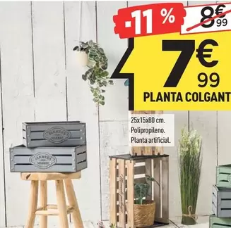 Oferta de Planta Colgante por 7,99€ en Centrakor