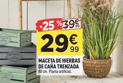 Oferta de Maceta De Hierbas De Caña Trenzada por 29,99€ en Centrakor