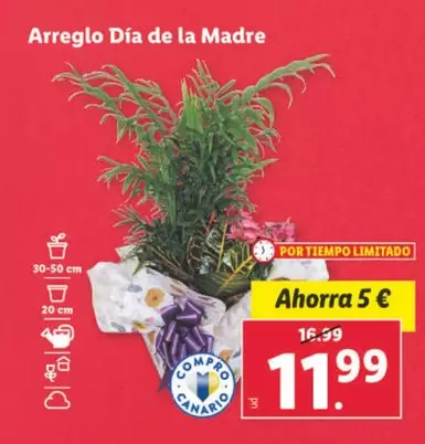 Oferta de Arreglo Dia De La Madre por 11,99€ en Lidl