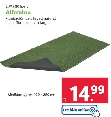 Oferta de Livarno Home - Alfombra por 14,99€ en Lidl