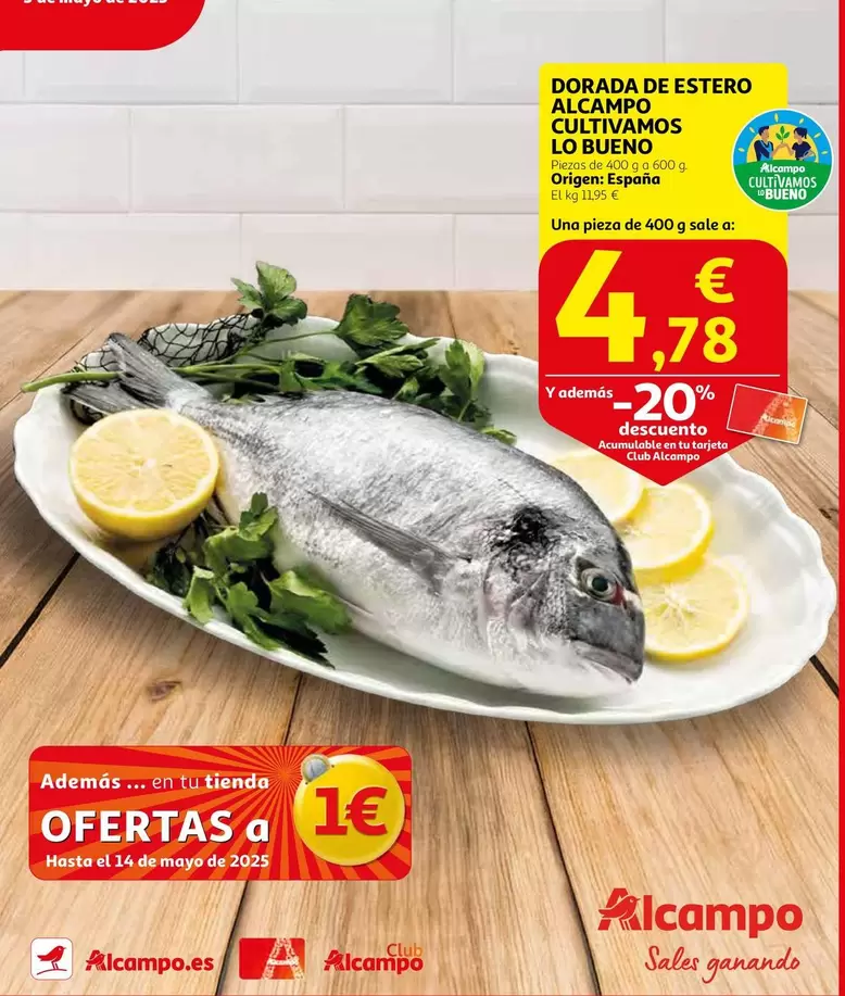 Oferta de Alcampo - Dorada en Alcampo