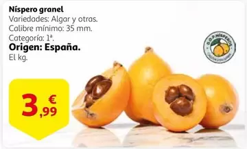 Oferta de Origen - Níspero Granel por 3,99€ en Alcampo