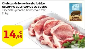 Oferta de Alcampo - Chuletas De Lomo De Cebo Iberico por 14,95€ en Alcampo