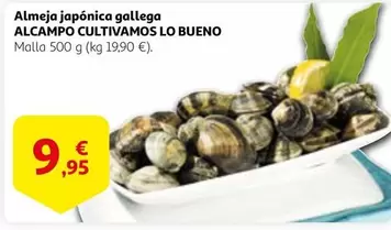 Oferta de Gallega - Alcampo Cultivamos Lo Bueno por 9,95€ en Alcampo