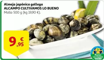 Oferta de Gallega - Alcampo Cultivamos Lo Bueno por 9,95€ en Alcampo