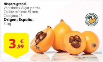 Oferta de Origen - Níspero Granel por 3,99€ en Alcampo