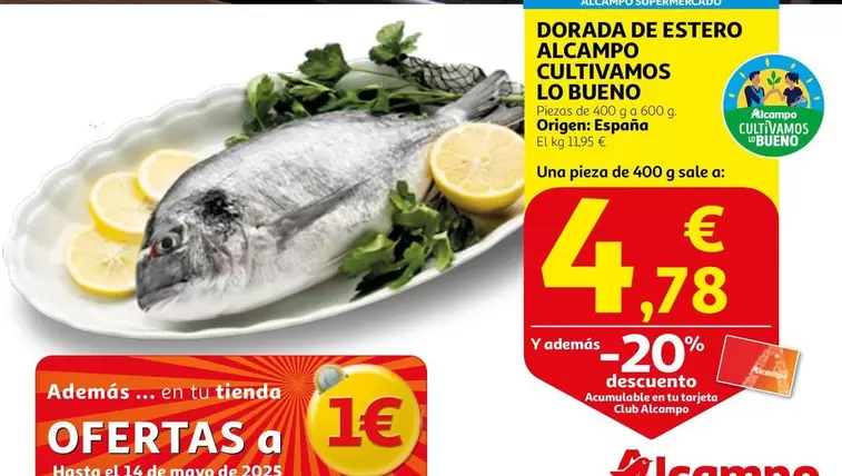Oferta de Alcampo - Dorada De Estero Alcampo Cultivamos por 4,78€ en Alcampo