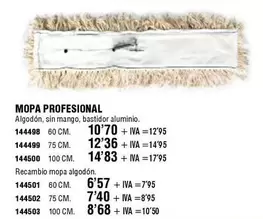 Oferta de Mopa Profesional por 10,7€ en ferrOkey