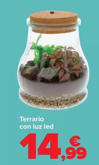 Oferta de Terrario Con Luz Led por 14,99€ en Carrefour